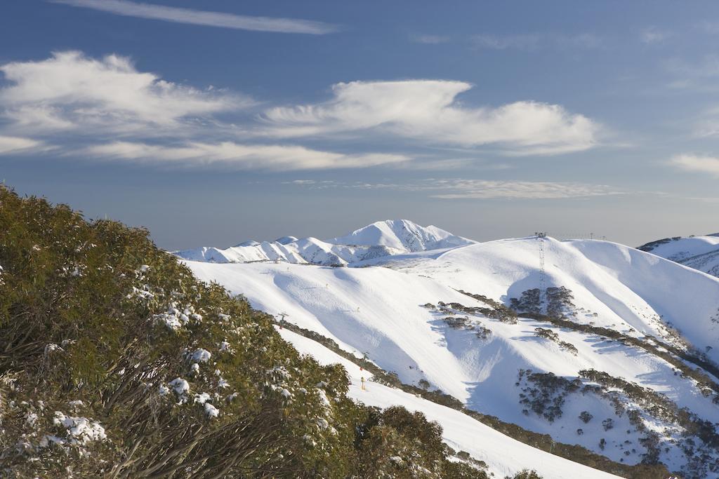 Apartament Sambuca Mount Hotham Pokój zdjęcie